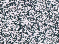 Превью выпуска №23