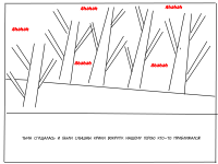 Превью выпуска №8