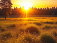 Превью выпуска №2