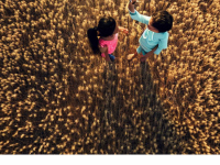 Превью выпуска №4