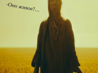 Превью выпуска №9