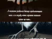 Превью выпуска №14