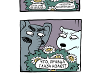 Превью выпуска №62