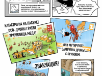 Превью выпуска №8