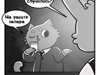 Превью выпуска №13