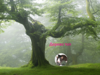 Превью выпуска №228