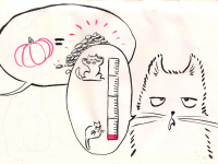 Превью выпуска №21