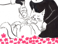 Превью выпуска №27