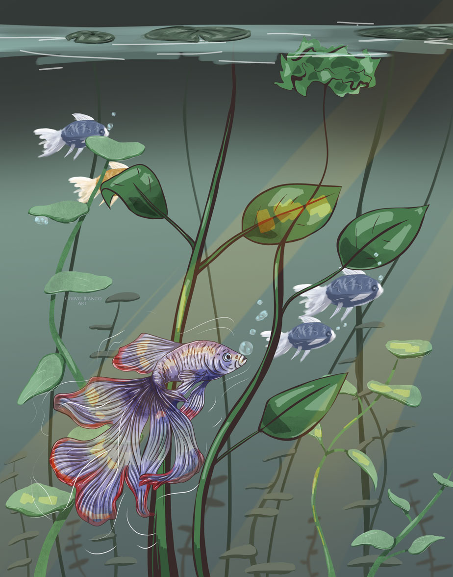 Комикс The Desert: выпуск №100