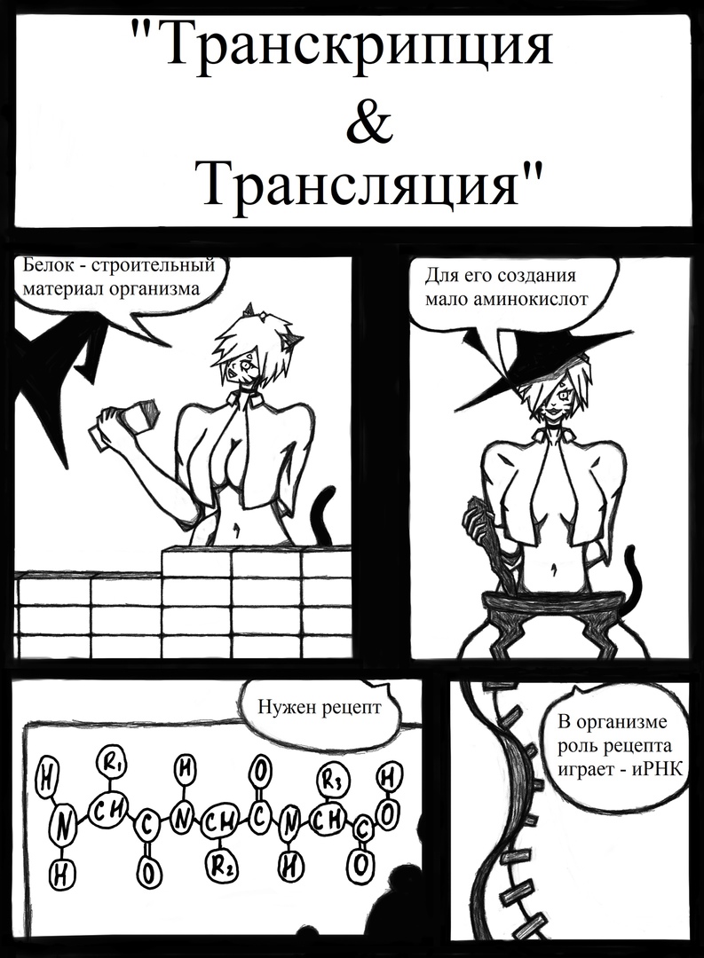 Комикс Биология от Эли: выпуск №3