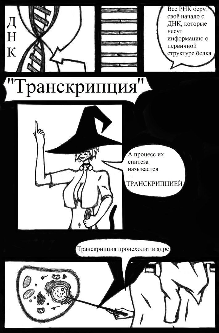 Комикс Биология от Эли: выпуск №4