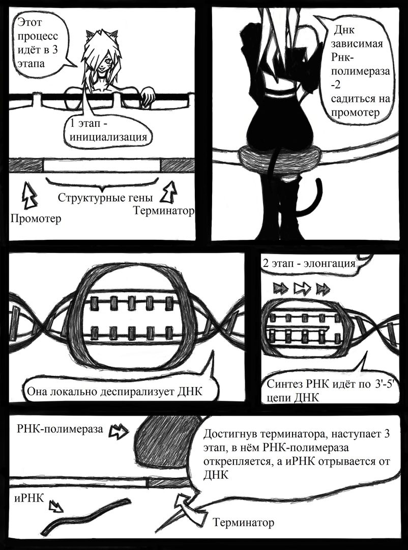 Комикс Биология от Эли: выпуск №5
