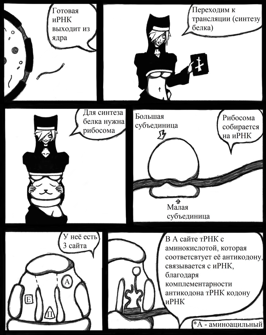 Комикс Биология от Эли: выпуск №7