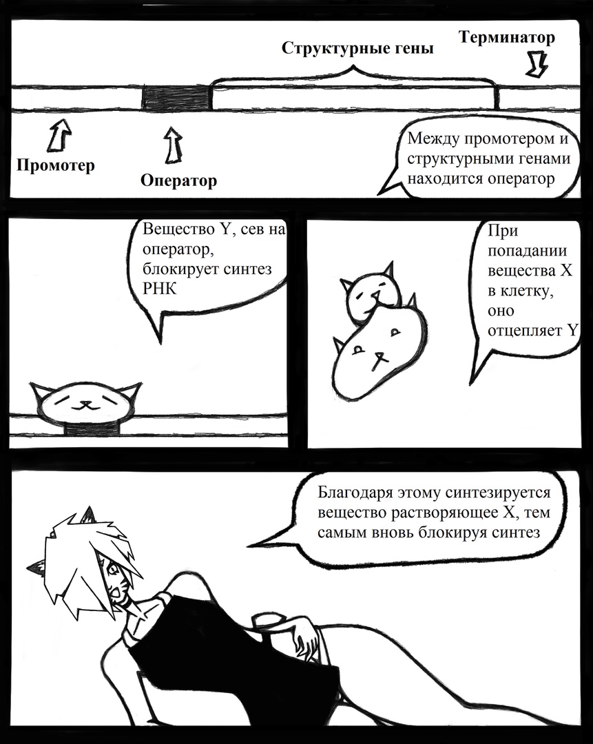 Комикс Биология от Эли: выпуск №10