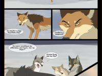 Превью выпуска №13