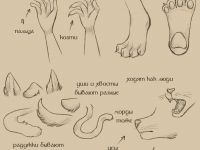 Превью выпуска №13