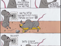 Превью выпуска №10