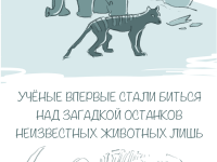 Превью выпуска №1