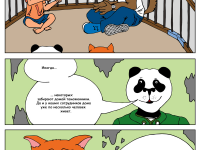 Превью выпуска №13