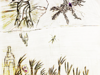 Превью выпуска №12