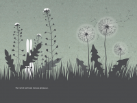 Превью выпуска №7