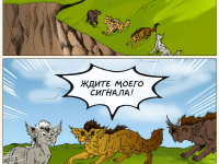 Превью выпуска №14