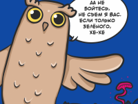 Превью выпуска №5