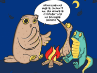 Превью выпуска №6