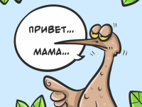 Превью выпуска №10