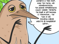 Превью выпуска №11