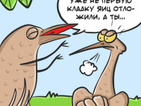 Превью выпуска №13
