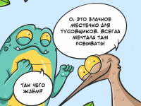 Превью выпуска №19