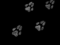 Превью выпуска №1