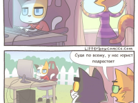 Превью выпуска №365