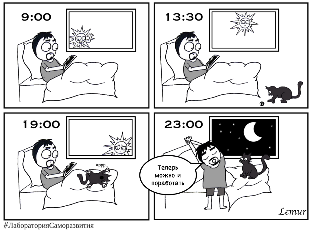 Совы поймут