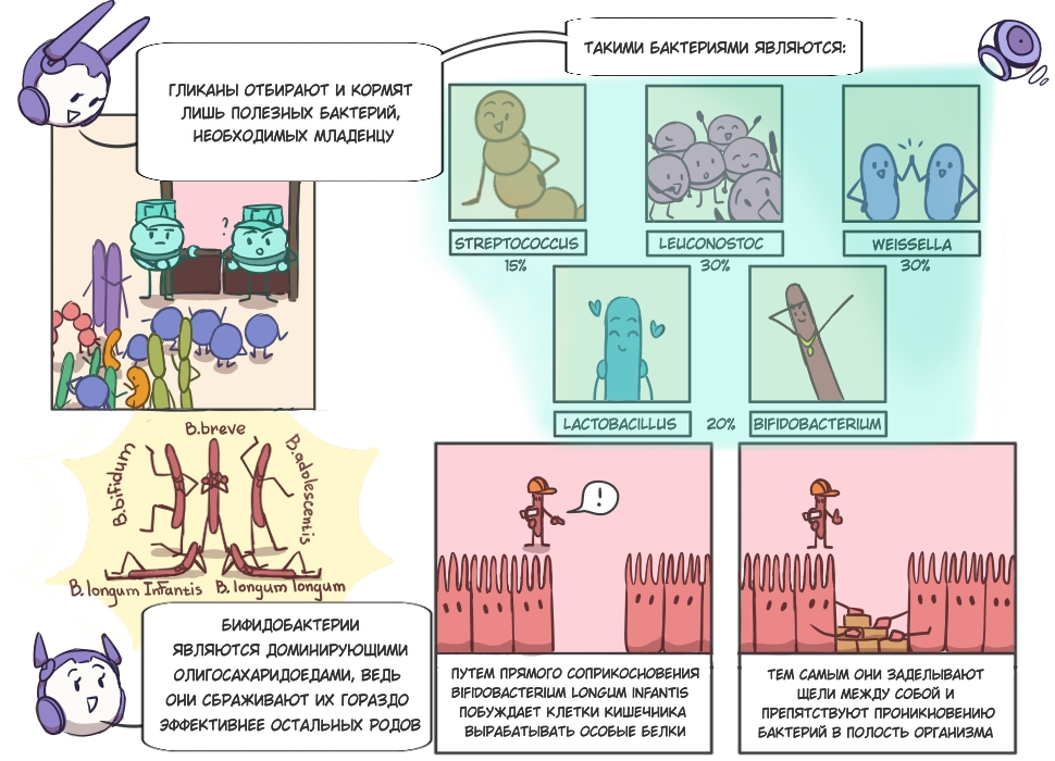 Комикс Стражи микробиома: выпуск №10