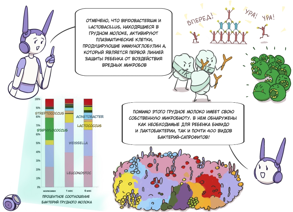 Комикс Стражи микробиома: выпуск №11