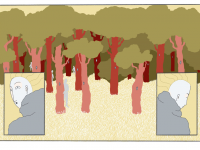 Превью выпуска №8