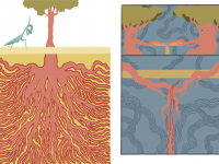Превью выпуска №14