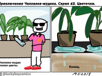 Выпуск №45: Забота о домашних растениях