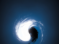 Превью выпуска №22