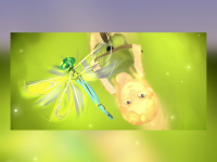 Превью выпуска №8