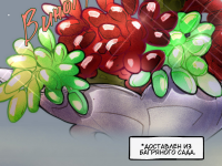 Превью выпуска №13