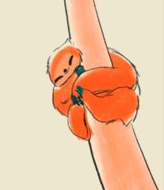 Начало новой жизни