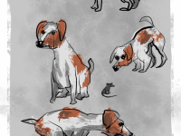 Превью выпуска №12