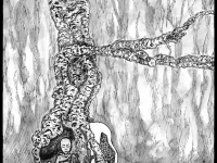 Превью выпуска №39