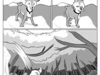 Превью выпуска №6