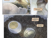 Превью выпуска №8