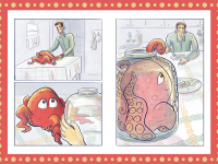 Превью выпуска №6