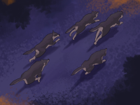 Превью выпуска №4